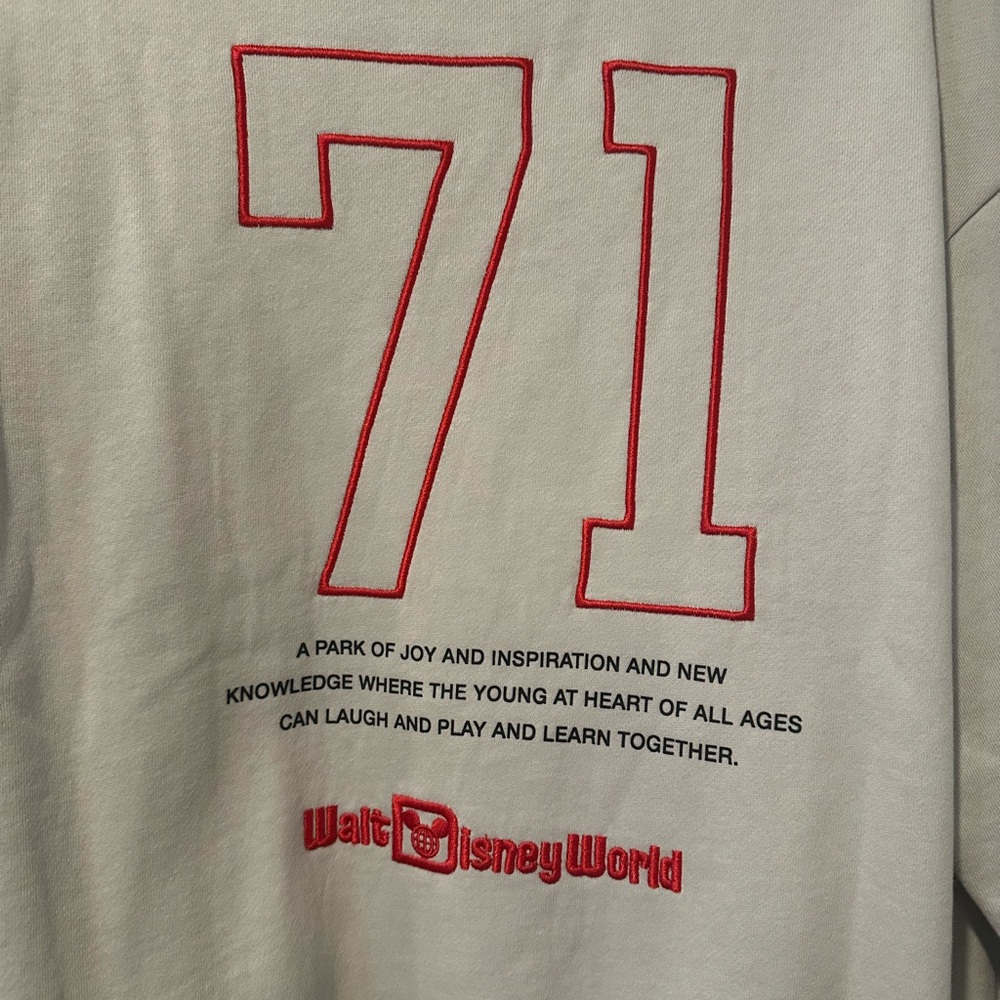 NWT Cream Crewneck Sweatshirt with Embroidered Details - Picture 5 of 14